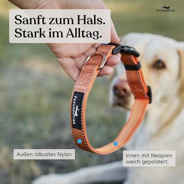 Нашийник для собак Freudentier: м'який, з неопрену, світловідбиваючий, міцний (Sunset Orange, 35-50 см)