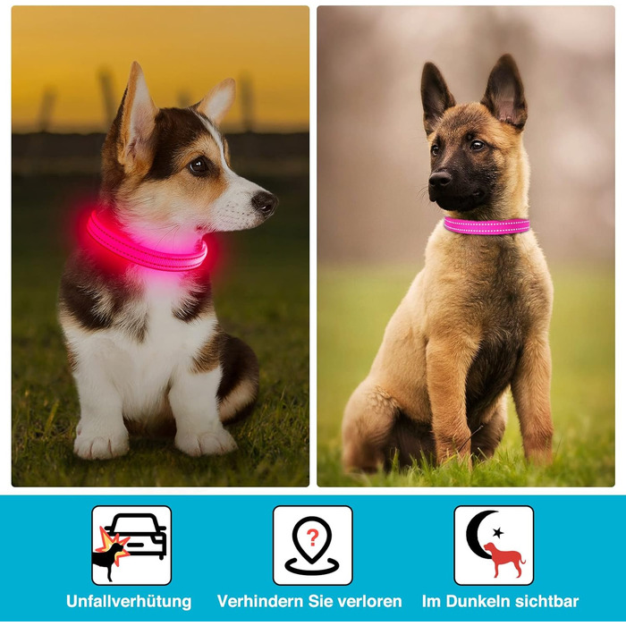LED-нашийник для собак KOSKILL: перезарядна модель USB, водонепроникний, яскравий, регульований, для середніх та великих собак (зелений, рожевий)