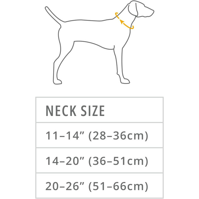 Нашийник для собак Ruffwear Front Range, регульований, м'який, з V-кільцем, зелений River Rock, 35-51 см