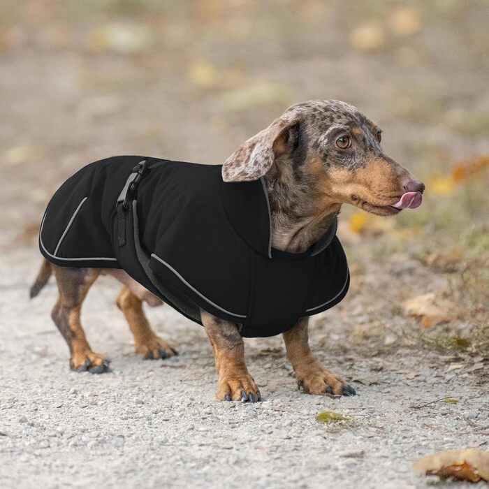 Зимовий теплий накид для такси, чорний L. Водонепроникний, з захистом живота та отвором для повідка. Ідеальний для великих собак.