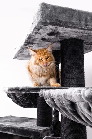 Дряпка для котів Petrebels Maine Coon XXL Alley 200 см, преміум, для великих котів, чорна