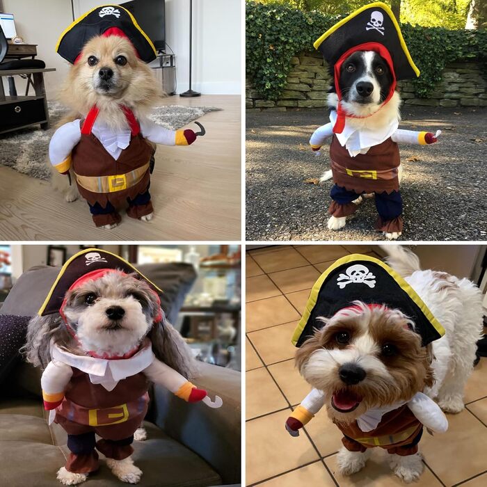 Костюм для собак у стилі 