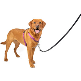Шлейка для собак PetSafe 3-в-1, анти-затяг, для авто, з ручкою, світловідбивачами, розмір L, чорна, синя, фіолетова