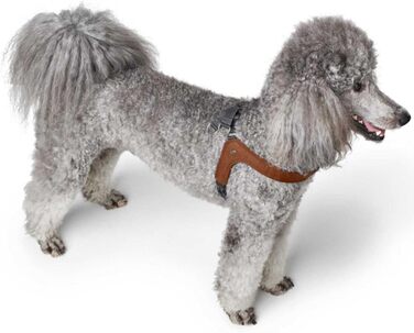 Нашийник для собак HUNTER DIMARO, колір: Cognac, м'яка та міцна шкіра, регульований, для цуценят та собак, розмір S-M