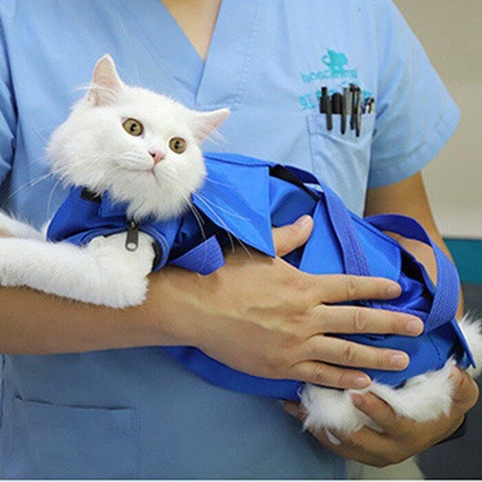 Транспортувальна сумка для собак та котів, дихаюча, з регулюванням, анти-подряпини та захист від укусів, для маленьких та середніх порід, блакитна