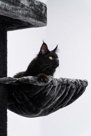 Дряпка для великих котів Petrebels Turnpike XXL 200 см, чорна, стовпи Ø15 см, Maine Coon, 76x76 см