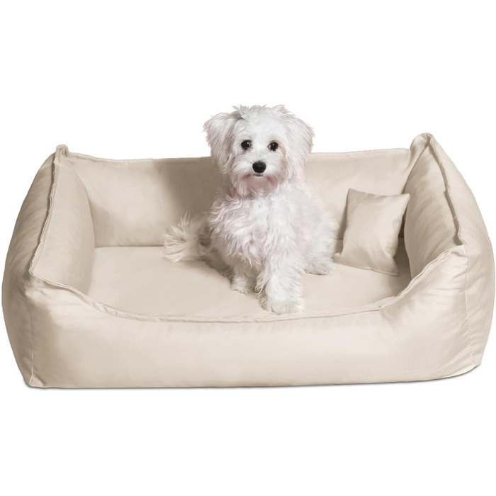 Ортопедичне ліжко для собак Tierlando® Donald, прямокутне, з матрацом з віскоеластичної піни, міцний оксфордський поліестер, антиковзаюча підставка, розмір 100x75 см, колір: кремовий