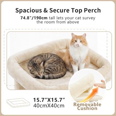 Heybly Katzenbaum 190 см, XXL Дряпка для великих котів, стійка висока когтеточка з великою платформою, 2 печери, гамак та міцні стовпи з сизалю, котячі меблі, HCT062G (Бежевий)