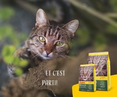 Сухий корм для котів JOSERA NatureCat з лососем та птицею, 10 кг (набір 2х5 кг)