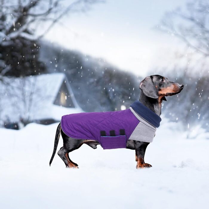 Теплий зимовий пуховик для такси, тепла жилетка для такси, пуховик для такси з отвором для шлейки, вітрозахисний пуховик з коміром-стійкою, жилетка для мініатюрних такс, зелений, S (довжина спини: 31-34 см), зелений (L (довжина спини: 41-44 см), фіолетови