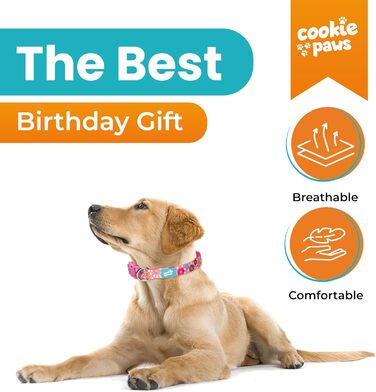 Нашийник і повідок для великих собак Cookie Paws, м'який неопрен, зручний, регульований, швидка застібка, міцний, дихаючий, легко чиститься, рожевий з пончиками, стильний