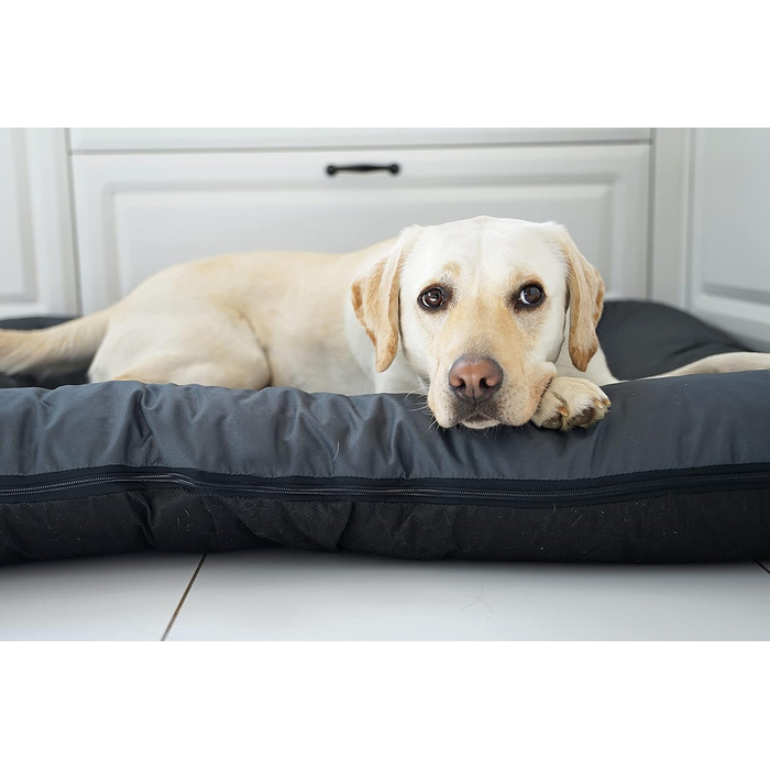 Клео - лежанка для собак середніх порід, 80x60 см, графітовий колір, знімний чохол, водонепроникна, з блискавкою