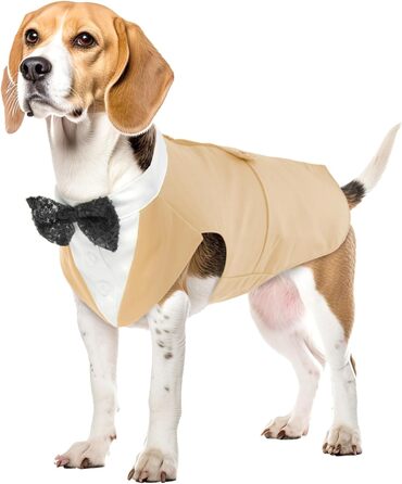 Костюм для собак 