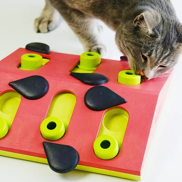 Інтерактивна головоломка для котів Nina Ottosson Cat Puzzle Play — Melon Madness