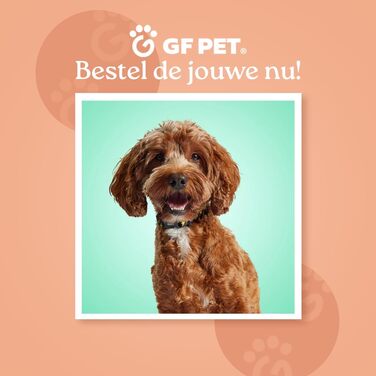 Жовтий дощовик для собак середнього розміру ElatoFit - водонепроникний, розмір H 33 см