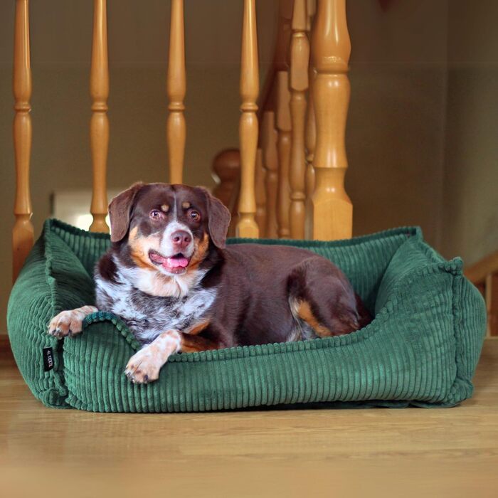 4L Textil М'яке собаче ліжко з корду Hugo Premium-LINE, ортопедичне для маленьких собак, з піною Memory Foam, 100x80 см
