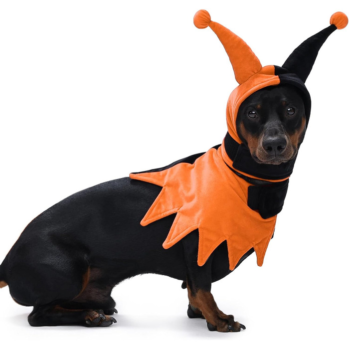 Костюм на Хелловін для собак Lelepet з капелюхом та накидкою, веселому костюму для домашніх тварин, косплей-одягу на Хелловін, для вечірки, на карнавал, святковий одяг для собак маленьких, середніх та великих розмірів (X-Small, помаранчевий/апельсиновий в