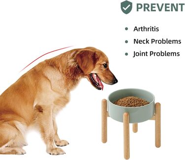 Керамічна годівниця для собак Havniva 21 см зі стійкою, великі породи, миска для їжі та води (1 шт., світло-зелена)