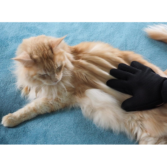 Набір для догляду за тваринами 7 предметів: щітка для шерсті, ножиці для шерсті, ножиці для кігтів, рукавичка для вичісування, щітка для ворсу, щипці для кліщів, для собак, котів, дрібних тварин