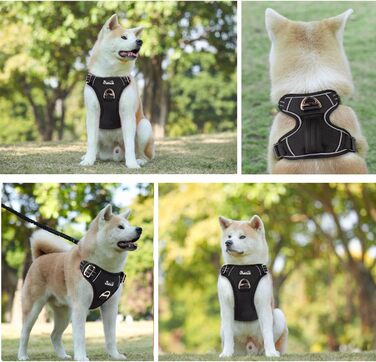 Шлейка для собак великих порід, анти-тяга, з 2 карабінами та зручною ручкою, регульована та світловідбиваюча, з м'якою підкладкою, для щоденних тренувань (Чорний, L)