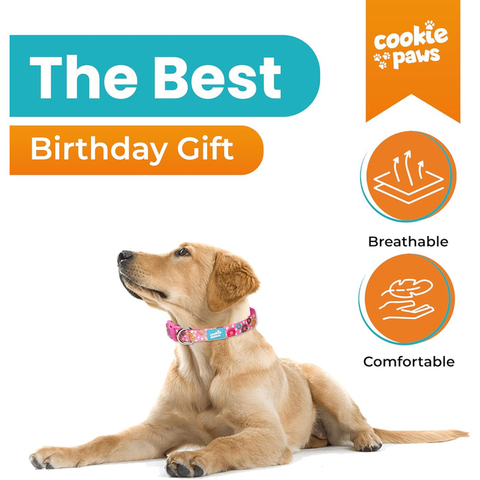 Нашийник і повідок для великих собак Cookie Paws, м'який неопрен, зручний, регульований, швидка застібка, міцний, дихаючий, легко чиститься, рожевий з пончиками, стильний