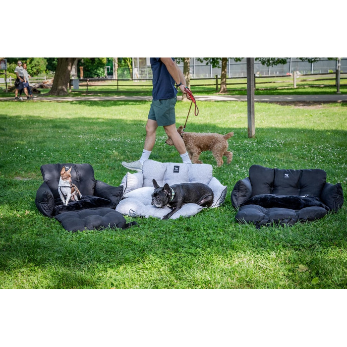 Автокрісло для собак JACKO & CO V2 Premium – підходить для малих та середніх тварин до 18 кг, з підстібкою та поводом, чорного кольору