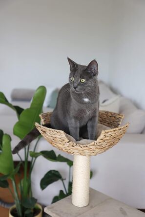 Дряпка для котів Kerbl 81592 Banana Leaf Jade, 70x38x102 см, бежева