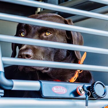 Алюмінієвий бокс NOBBY 62324 з заокругленими кутами, 59x55x49 см, 66x61x20 см