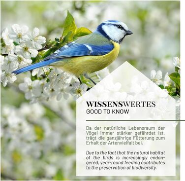 Пташник для диких птахів WILDLIFE HOME XL - годівниця для птахів, стійка до погодних умов, для саду та балкону