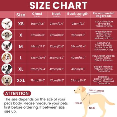 Теплий святковий пуловер для собак, котів, дрібних порід (Даксель, Пудель, Ши-тцу) - зелений (Medium, червоний)