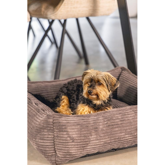 Крісло-лежанка для собак Lotte Ribbed, коричневе, 65x60x20 см