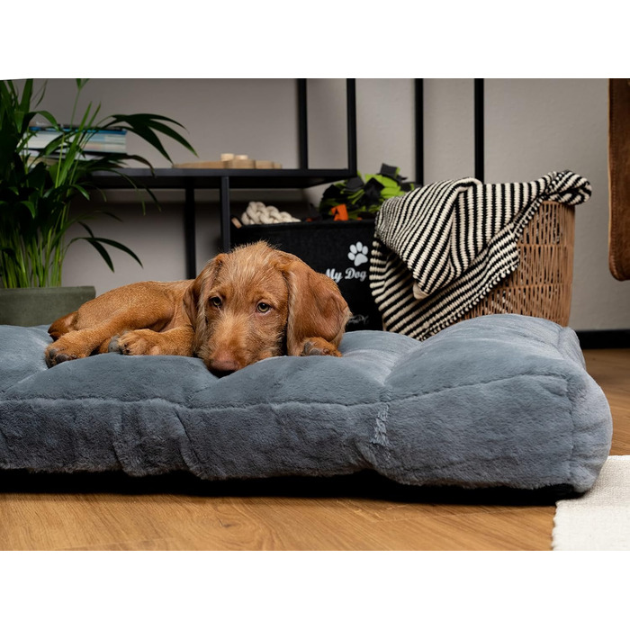 TrendPet Maya Ortho - Ортопедичне ліжко для собак (80x60 см)