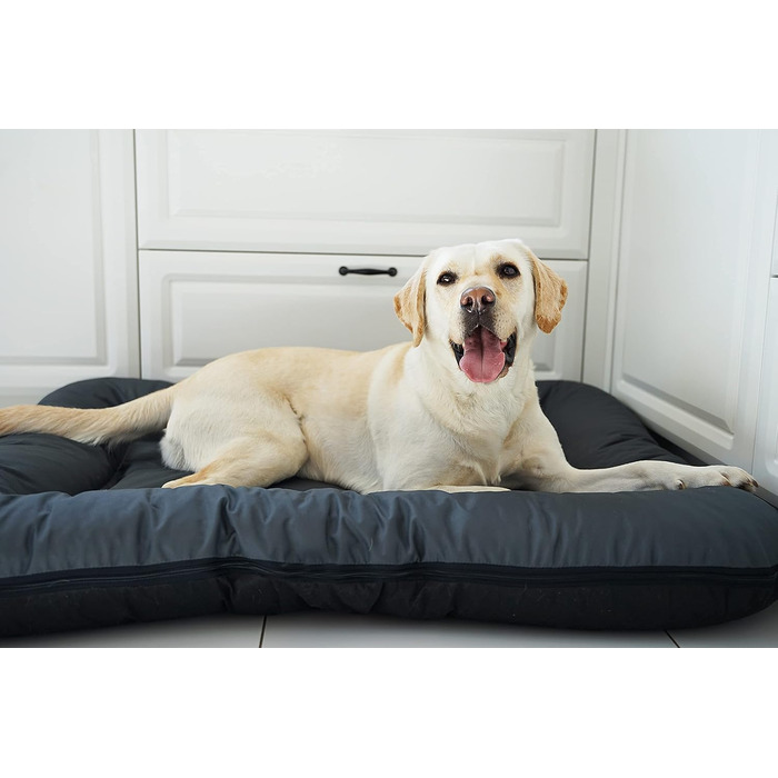 Клео - лежанка для собак середніх порід, 90x70 см, графітовий колір, з блискавкою, миється, лежанка-матрац для собак