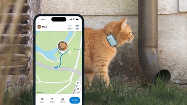 GPS-локатор для котів Tractive CAT Mini — світло-зелений