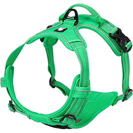 колір: грасґрун