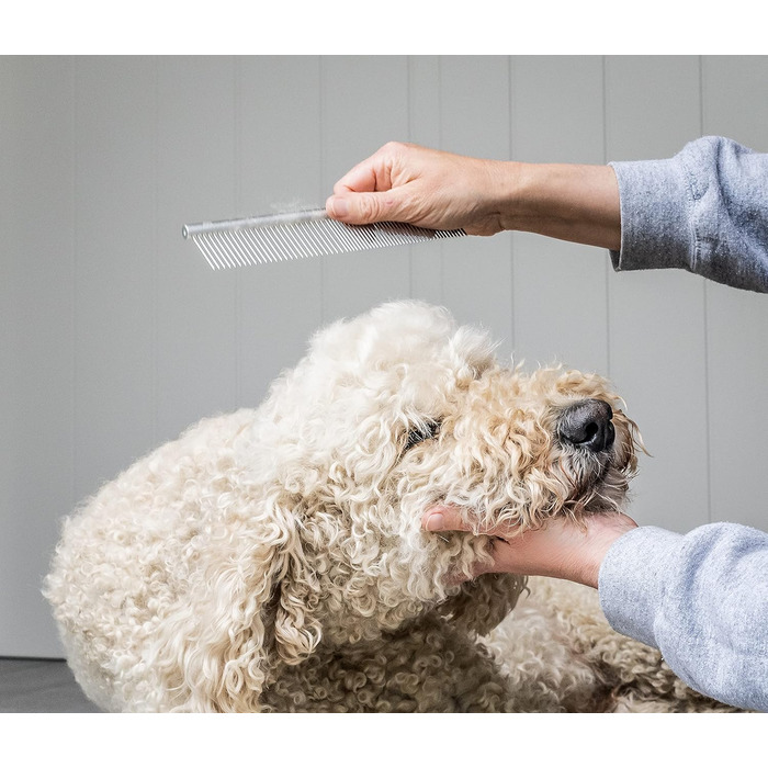 Набір для догляду за шерстю собак та цуценят Mikki: гребінець зі сталі та щітка Slicker з жорстким ворсом. Підходить для порід: пуделів, кокапу, лабрадуділів, кавапу, мальтипу та голден дуділів.