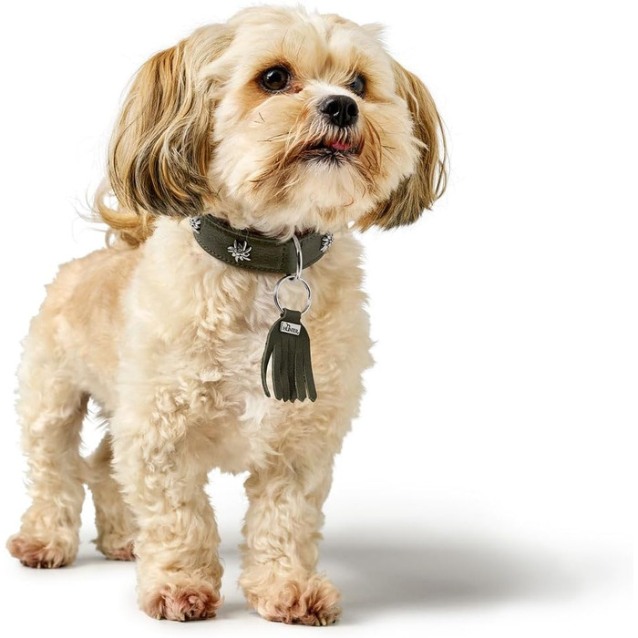 Нашийник для собак HUNTER München зелений/cognac, шкіряний, з елементами традиційного одягу, м'який та міцний, не травмує шерсть, розкішний, екологічно чистий, виготовлений у Німеччині, розмір 50