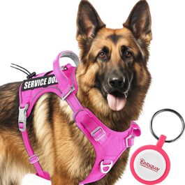 BARKBAY Тактична шлейка для собак K9, персоналізована, розмір M/L, регульована, не тягне, відбивна, для службових і тренувальних собак
