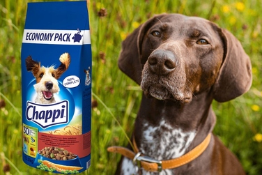 Сухий корм для собак Chappi з яловичиною, птицею та овочами, 13,5 кг