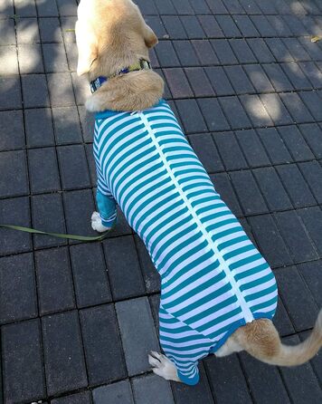 Піжама для собак, комбінезон, одяг для середніх та великих собак, дихаючий, з блискавкою, м'яка бавовна