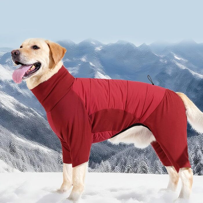 Зимовий теплий одяг для собак - куртка з високим коміром, розмір L (Сірий). Також доступні розміри XL та кольори: Рожевий. Підходить для маленьких, середніх та великих собак, для прогулянок, походів та кемпінгу.