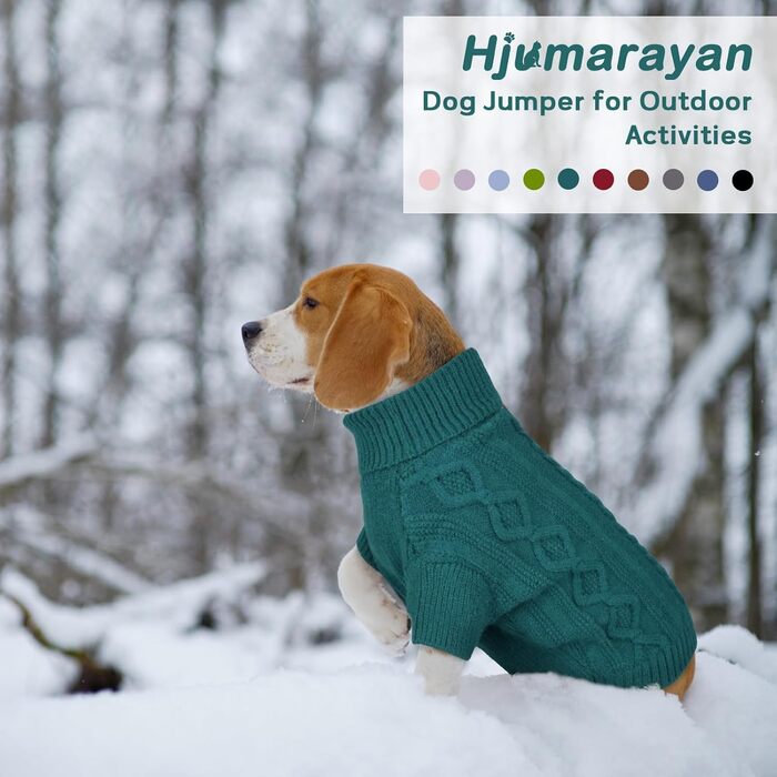 Пуловер для котів та собак Hjumarayan, теплий зимовий пуловер з отвором для повідка, стильний пуловер для кошенят та маленьких собак (Півнячий зелений, S)