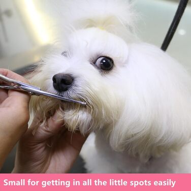 Ножиці для грумінгу собак Хашімото, 13 см, прямі леза з мікрозубом, для догляду за очима, вухами, носом та лапами