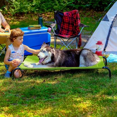 Підняте ліжко для собак Furhaven XL, для дому та вулиці, зелений Gecko