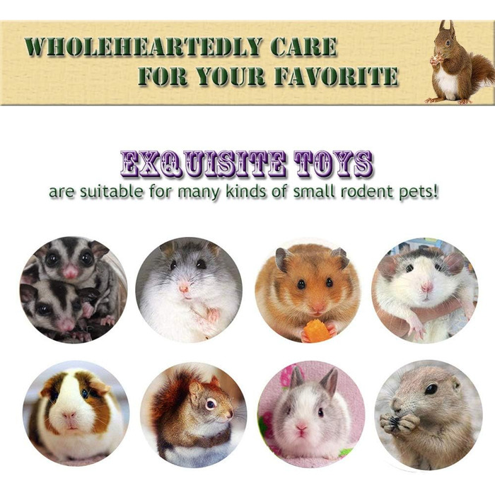 Іграшки для гризунів Goter: набір з 10 шт. з яблуневої деревини. Іграшки для хом'яків, щурів, шиншил. Натуральні ласощі та аксесуари для тварин.
