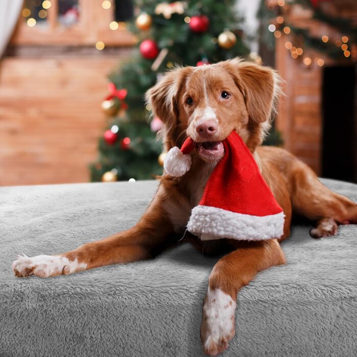 М'яка флісова підстилка для собак і котів Nobleza, 160 x 120 см, світло-сіра