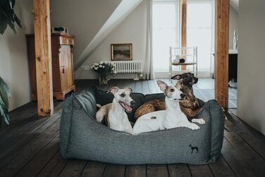 Диван для собак Livingston, класичний, структура тканини, розмір M, антрацит, 80x60x25 см