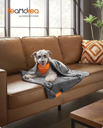 Набір з 3-х ковдр для собак Feandrea, 152 x 127 см, фланель, сірий, для великих і середніх собак, захист дивану