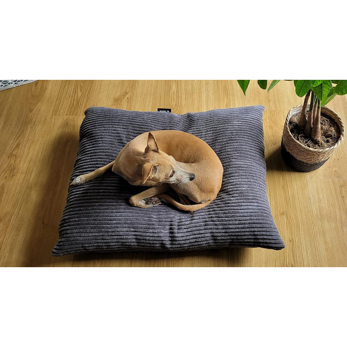 Лежак для собак 4L Textil ZOE, велюровий, знімний чохол, великий, 120x100 см, графіт, для великих собак, праний