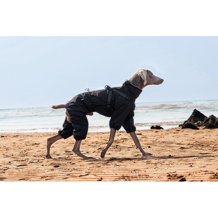 Водонепроникний комплект для собак BT Bear: жилет, дощовик, жилетка, для середніх та великих собак, розмір 6XL, чорний